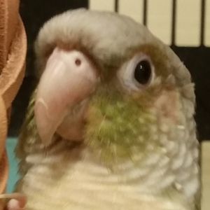 Meet your Posher, Aiden